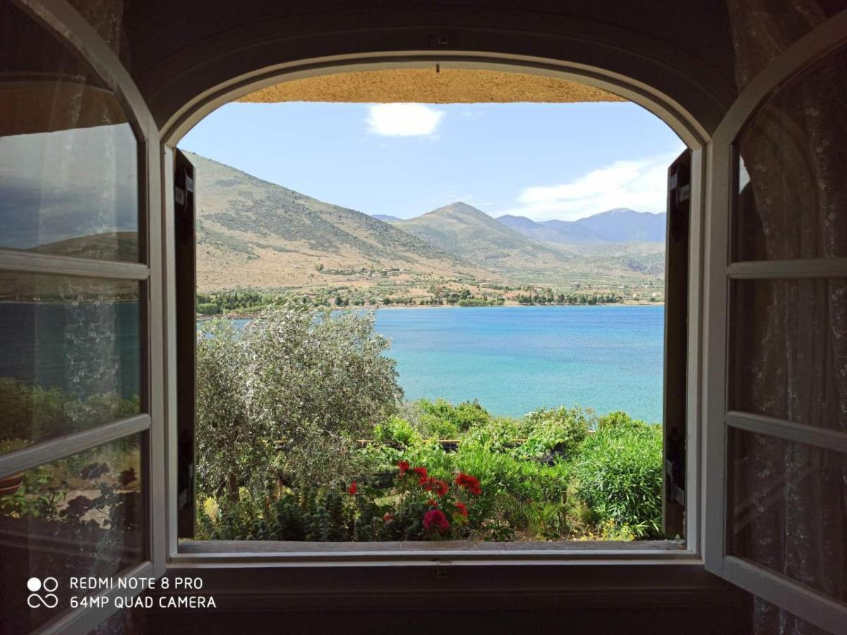 Aphrodite'S Coast Retreat House! Galaxídhion Екстериор снимка