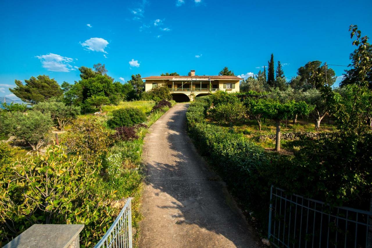 Aphrodite'S Coast Retreat House! Galaxídhion Екстериор снимка